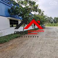 Cho Thuê Xưởng Mới 10.500m² Tại Phú An, Bến Cát – PCCC Tự Động, Giá 2.8 USD/m²