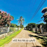 Giảm Mạnh Từ 2.5 Tỷ Còn 1.8 Tỷdiện Tích5400M2 Thổ Cư Khủng 400M2 Mặt Tiền Đường Bêtông Có Ao Cá, Tiêu Cà