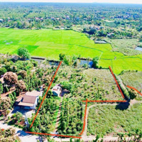 Giảm Mạnh Từ 2.5 Tỷ Còn 1.8 Tỷdiện Tích5400M2 Thổ Cư Khủng 400M2 Mặt Tiền Đường Bêtông Có Ao Cá, Tiêu Cà