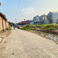 Gấp Lắm Rồi Em Bán Nhanh Mảnh Đất 86M2 Tại Thanh Trí Minh Phú Sóc Sơn. Ngõ 4,5M Thông