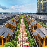 Bán Gấp Lô Đất 300M2 Full Thổ Cư Đối Diện Khoáng Nóng Wyndham Thanh Thủy, Phú Thọ Giá Đầu Tư