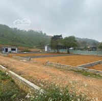 Bán Trang Trại, Khu Nghỉ Dưỡng Tại Xã Yên Bng Tại Xã Yên Bài, Ba Vì, Hà Nội, Giá Thỏa Thuận, 634 M2
