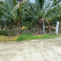 Bán vườn cây trái Diên Thọ quy hoạch thổ cư sát bên Tỉnh Lộ 2