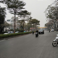Bán Đất Võ Chí Công - Hoàng Quốc Việt, Sổ A4,Diện Tích204M2,Mặt Tiền12M, Ngõ Thông, Ô Tô Tránh - 39.Tỷ