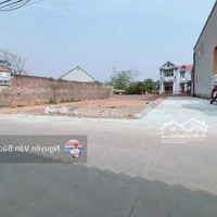 Bán Đất Tại Tân Minh, Sóc Sơn, Hà Nội, Diện Tích 102,6 M2, View Đẹp, Đất Kinh Doanh