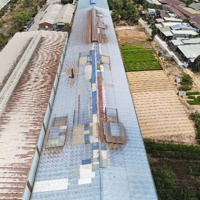Cần Bán Khu Đất Gần 5000M2 Đường Bình Minh Thuộc Huyện Trảng Bom Giá Chỉ 46 Tỷ