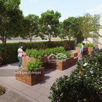 Nhà Phố Sân Vườn The Meadow Bình Chánh 521 M, 235,7 M² Sàn, Bàn Giao Thô