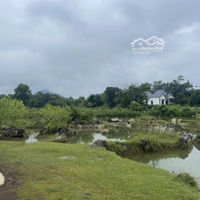 Chính Chủ Bán 1000M2 Full Thổ Cư View Hồ Cực Phẩm Tại Bãi Đa, Bảo Hiệu Yên Thủy, Hòa Bình X2X3