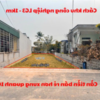 Bán Đất Cạnh Khu Công Nghiệp,Đang Khởi Công, Sinh Lời Ngay, Bát Trang An Lão Hải Phòng