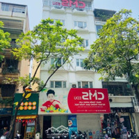 Toà Nhà Mặt Tiền Khủng - Vị Trí Đắc Địa Vỉa Hè Rộng Kinh Doanh Các Loại Mô Hình. Cần Bán Gấp