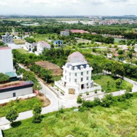 Quỹ Chuyển Nhượng Cienco 5 Mê Linh Giá Tốt Nhất Thị Trường! Em Cam Kết Tư Vấn Trung Thực!