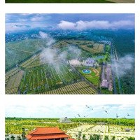 Bán Đất Tại Sala Garden, Tân Hiệp, Long Thành, Đồng Nai, 110 Triệu, 9.6M2, Hot!