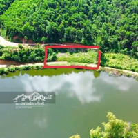 Lô Này Làm Nhà Vườn Thì Đẹp Lắm
1000 M2 View Sát Hồ Lớn, Mặt Tiền Dài 40 M, Hiếm Có Tại Thanh Sơn,