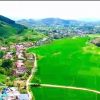 Lô Này Làm Nhà Vườn Thì Đẹp Lắm
1000 M2 View Sát Hồ Lớn, Mặt Tiền Dài 40 M, Hiếm Có Tại Thanh Sơn,