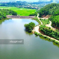 Lô Này Làm Nhà Vườn Thì Đẹp Lắm
1000 M2 View Sát Hồ Lớn, Mặt Tiền Dài 40 M, Hiếm Có Tại Thanh Sơn,