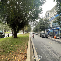 Cho Thuê Bt Mặt Đại Lộ Ngọc Trai 52M Kinh Doanh Văn Phòng Sầm Uất Nhất, Thang Máy Full Đh Chỉ 30 Triệu