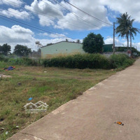 Cần Bán 97M2 Giá Bán 325 Triệu. Đất Nằm Mặt Tiền Bê Tông Đường Số 1, Huyện Gò Công Đông, Tiền Giang. Shr