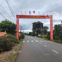 Bán Đất Thổ Cư Giá Rẻ F0 Đầu Tư Tại Xã Tân Hội, Đức Trọng, Lâm Đồng Chỉ 690 Triệu, 250 M2