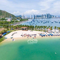 Chỉ 52 Triệu/M2 Sở Hữu 278.4M2 Ngay Bến Du Thuyền. Đường Xuân Thủy, Hướng Nam. Vĩnh Hòa Nha Trang