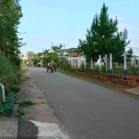 Bán Vườn 8128M2 View Hồ Sinh Thái Ngay Sân Bay Long Thành Giá Siêu Rẻ