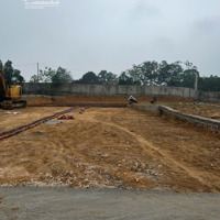 Bán Đất Tại Tdp Việt Hùng Thị Trấn Thắng, 1,3 Tỷ, 110M2 Đường Ô Tô Tránh Nhau