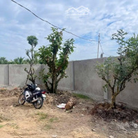 Bán Đất Khu Vực Thành Phố Tân An