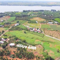 Nhà Vườn 9200M2 Có 600 Thổ Cư Giá Từ 15 Tỷ Nay Hạ Còn 8T 990 Triệu