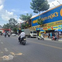 Nhà Mặt Phố Đường Lò Lu, Trường Thạnh, Quận 9, Thủ Đứcdiện Tích179 M², Chỉ 9,9 Tỷ, Giá Như Trong Hẻm