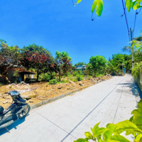 Chính Chủ Tổng Hợp Các Lô Đất Đẹp Nhất Cần Giờ Sát Biển Gần Vinhomes Từ 1Tỷ Đến 20 Tỷ
