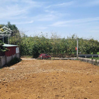 Chính Chủ Gả Bán Em Hòa Hậu Làng Gần Khu Di Tích Lịch Sử K9Diện Tích1136M2 Liên Hệ: 0979534028