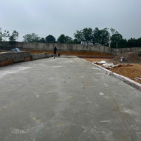 Bán Đất Tại Đường 295, Xã Bắc Lý, Hiệp Hòa, Bắc Giang 1,1 Tỷ, 110 M2