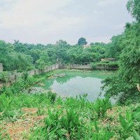 Bán Đất 4400M2 Tại Xã Liên Sơn, Lương Sơn, Hòa Bình, Giá Tốt 1,7 Triệu / M2 Hàng Hiếm Chốt Ngay