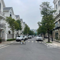 Bán Biệt Thự Song Lập 150M2 Dãy San Hô Gần Hồ Vinhomes Ocean Park Gia Lâm
