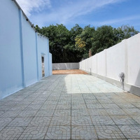 Bán Gấp 400M2 Đất Mặt Tiền Đường Mạc Đĩnh Chi, Phường Tân An Vị Trí Kinh Doanh Buôn Bán Giá Rẻ