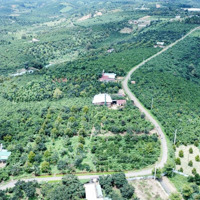Bán Lô Đất Mặt Tiền Đức Giang Liên Thôn , Đang Rất Ngộp.