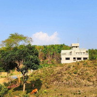 Bán Đất Rộng 5830,8M2 View Nông Trường Cao Su Đồi Chè Đông Giang Đà Nẵng Mới
