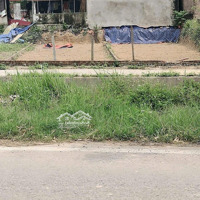 Mở Bán Siêu Phẩm Vip Diện Tích 88M² Thái Lai, Minh Trí, Sóc Sơn, Hà Nội