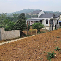 Bán Trang Trại, Khu Nghỉ Dưỡng Tại Đt 87, Xã Yên Xã Yên Bài, Ba Vì, Hà Nội, Giá Thỏa Thuận, 1200M2