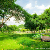 Tham Quan Nhà Liền Kề Thiết Kế Hiện Đại Trong Khu Đô Thị Xanh Midori Park