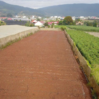 1743M2 Đất Ở, Cách Trường Th Bắc Hội 500M, Gần Ngã 3 Finom, Đức Trọng, Lâm Đồng