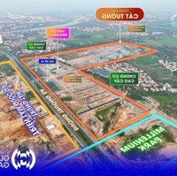 Chính Chủ Bán Cắt Lỗ Sâu Lô Góc Giáp Chung Cư Diện Tich 138 M2 Ngay Trung Tâm Dãy Thiên Nga 2.