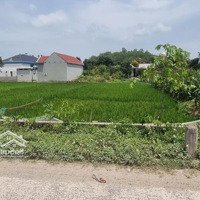 Chính Chủ Bán Đất Đẹp Đường 7M Xã Yên Thành