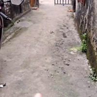 Bán Nhà Riêng Tại Thanh Mai, 2,7 Tỷ, 56,6M2, Đẹp, Nhiều Tiện Ích