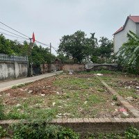 Bán Gấp 2 Lô Góc 91,9M2 Tại Đường 32, Hiệp Thuận, Phúc Thọ, Hà Nội