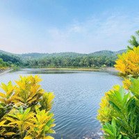Bán Biệt Thự Đẹp Tại Thanh Xuân Valley, 18 Tỷ, 300M2, Nhiều Tiện Ích
