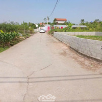 Nở Hậu Tiềm Năng Sinh Lời Cao Rẻ Hơn Khu Vực 5 Giá