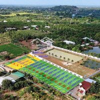 Gia Đình Có Lô Đất Lớn Mới Tách Được 10 Lô Đất Nhỏ Cần Chia Lại Giá Rẻ