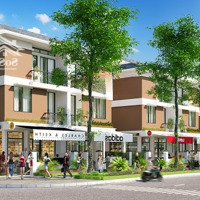 Bán Biệt Thự An Phú Shop Villa, Dương Nội, Hà Đông, 36 Tỷ, 203M2 Chỉ Với Giá Tốt