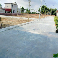 Duy Nhất Lô 60M2 Tại An Lão- 450 Tr Đường Vào 7M Cách Kcn Chiến Thắng 800M Đường 46M Ra Cầu Khuể