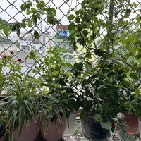 Cho Thuê Nhà Tại Lô U Cư Xá Thanh Đa, P27, Q. Bình Thạnh